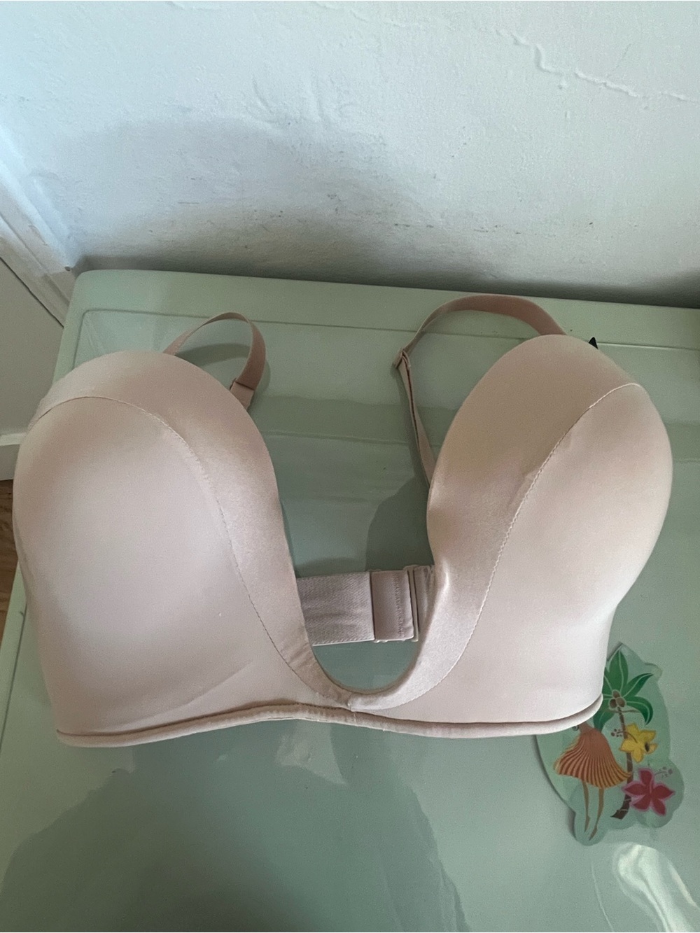 Wonderbra Nude Plunge Push-Up Bra